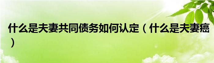 什么是夫妻共同債務(wù)如何認(rèn)定（什么是夫妻癌）