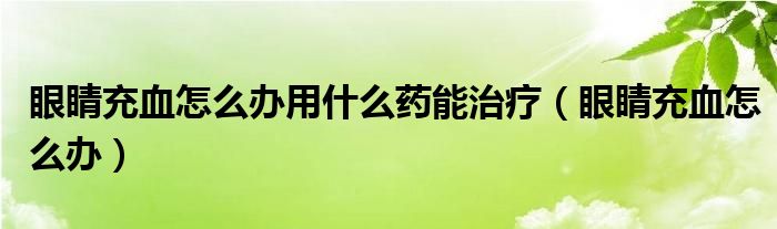 眼睛充血怎么辦用什么藥能治療（眼睛充血怎么辦）