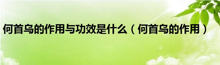 何首烏的作用與功效是什么（何首烏的作用）