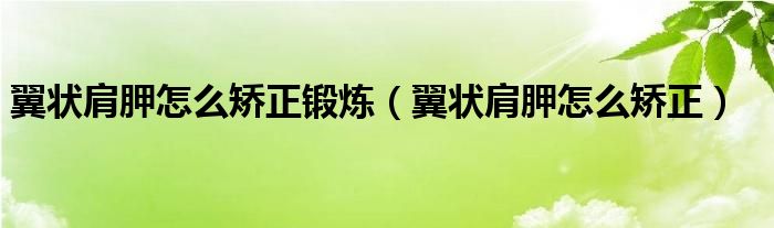 翼狀肩胛怎么矯正鍛煉（翼狀肩胛怎么矯正）