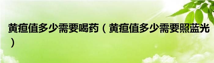 黃疸值多少需要喝藥（黃疸值多少需要照藍光）