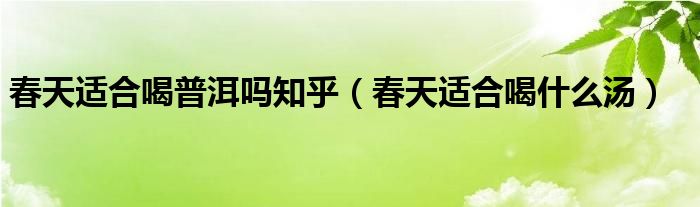 春天適合喝普洱嗎知乎（春天適合喝什么湯）