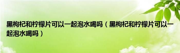 黑枸杞和檸檬片可以一起泡水喝嗎（黑枸杞和檸檬片可以一起泡水喝嗎）