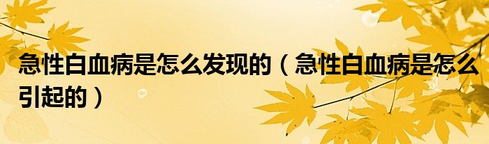 急性白血病是怎么發(fā)現(xiàn)的（急性白血病是怎么引起的）