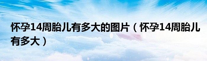 懷孕14周胎兒有多大的圖片（懷孕14周胎兒有多大）