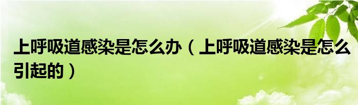 上呼吸道感染是怎么辦（上呼吸道感染是怎么引起的）