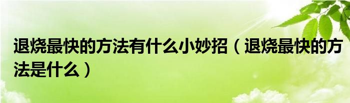 退燒最快的方法有什么小妙招（退燒最快的方法是什么）