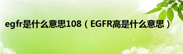 egfr是什么意思108（EGFR高是什么意思）