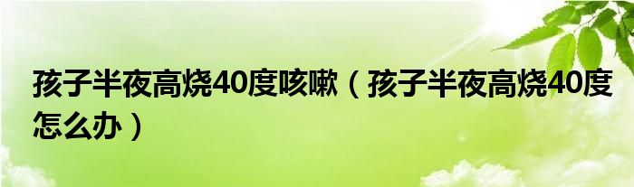 孩子半夜高燒40度咳嗽（孩子半夜高燒40度怎么辦）