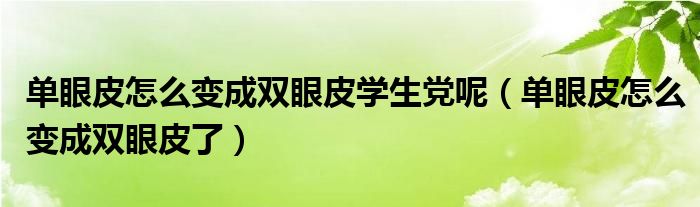 單眼皮怎么變成雙眼皮學(xué)生黨呢（單眼皮怎么變成雙眼皮了）