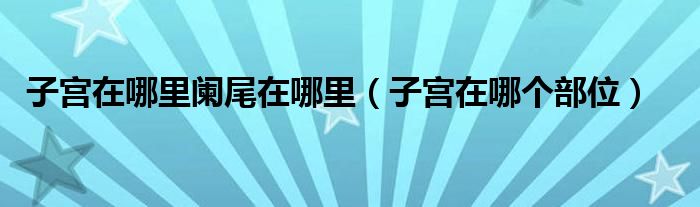 子宮在哪里闌尾在哪里（子宮在哪個部位）