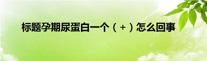 標(biāo)題孕期尿蛋白一個(gè)（+）怎么回事