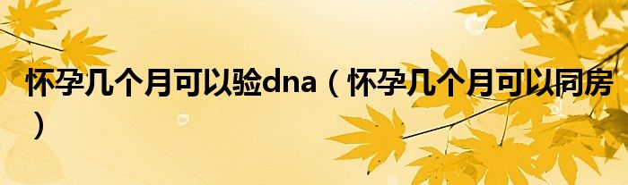 懷孕幾個月可以驗dna（懷孕幾個月可以同房）