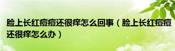 臉上長(zhǎng)紅痘痘還很癢怎么回事（臉上長(zhǎng)紅痘痘還很癢怎么辦）