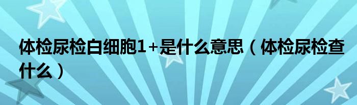 體檢尿檢白細(xì)胞1+是什么意思（體檢尿檢查什么）