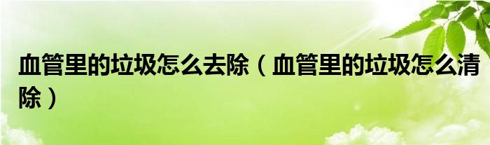 血管里的垃圾怎么去除（血管里的垃圾怎么清除）