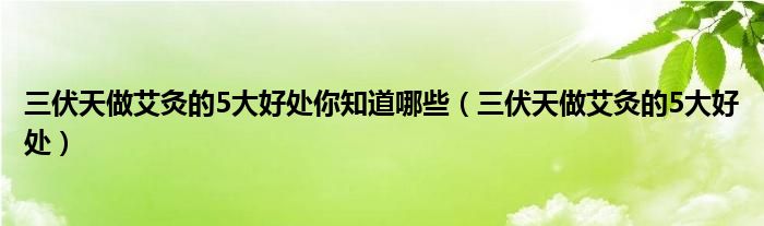 三伏天做艾灸的5大好處你知道哪些（三伏天做艾灸的5大好處）