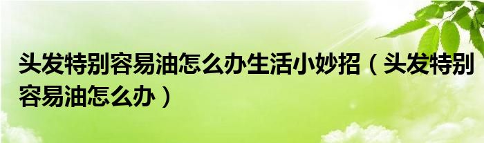 頭發(fā)特別容易油怎么辦生活小妙招（頭發(fā)特別容易油怎么辦）