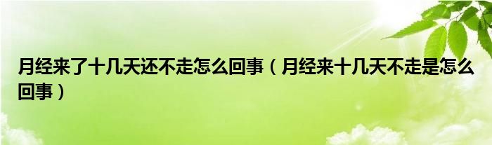 月經(jīng)來了十幾天還不走怎么回事（月經(jīng)來十幾天不走是怎么回事）