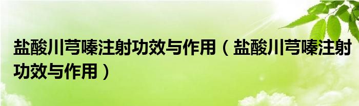 鹽酸川芎嗪注射功效與作用（鹽酸川芎嗪注射功效與作用）