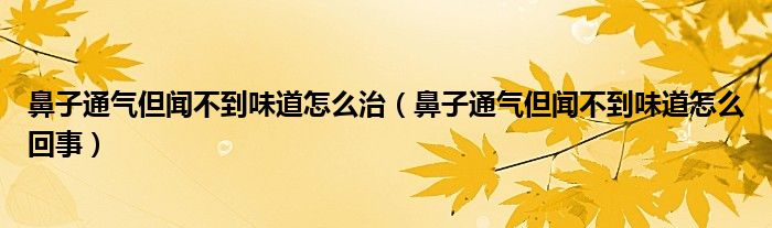 鼻子通氣但聞不到味道怎么治（鼻子通氣但聞不到味道怎么回事）