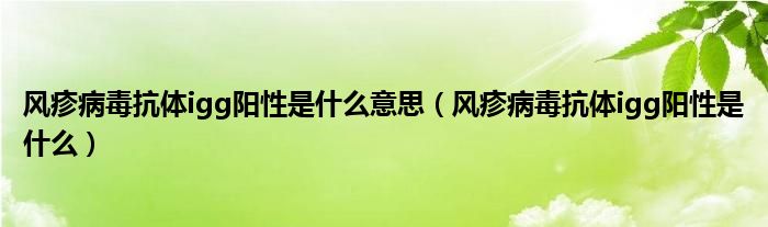 風(fēng)疹病毒抗體igg陽性是什么意思（風(fēng)疹病毒抗體igg陽性是什么）