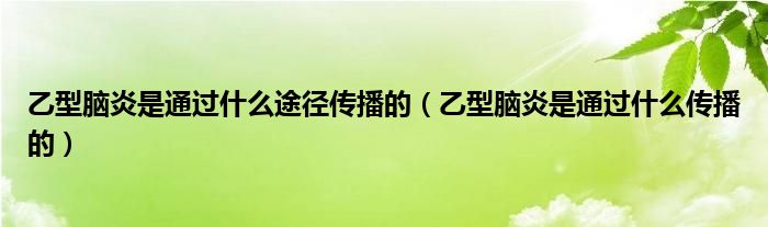 乙型腦炎是通過什么途徑傳播的（乙型腦炎是通過什么傳播的）