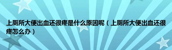 上廁所大便出血還很疼是什么原因呢（上廁所大便出血還很疼怎么辦）