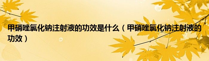 甲硝唑氯化鈉注射液的功效是什么（甲硝唑氯化鈉注射液的功效）