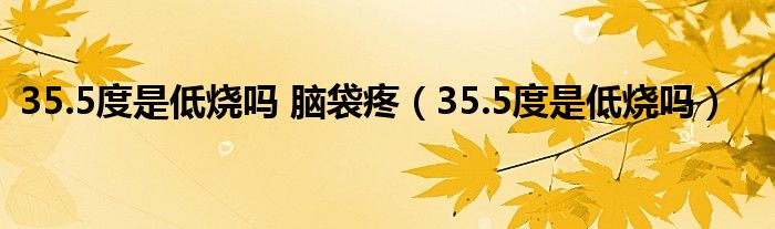 35.5度是低燒嗎 腦袋疼（35.5度是低燒嗎）