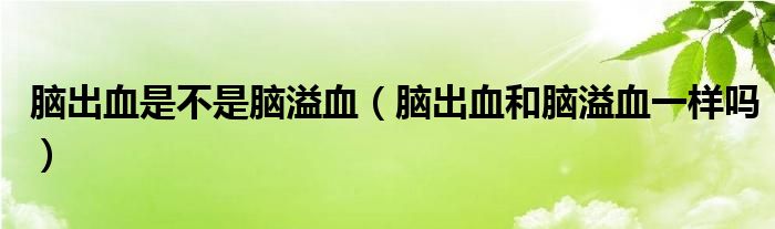 腦出血是不是腦溢血（腦出血和腦溢血一樣嗎）