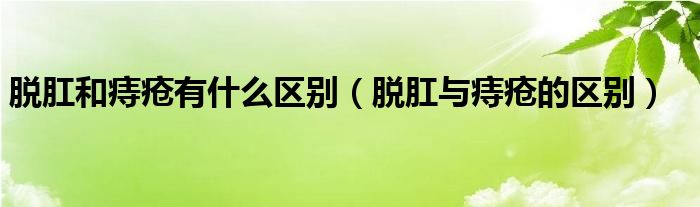 脫肛和痔瘡有什么區(qū)別（脫肛與痔瘡的區(qū)別）