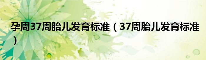 孕周37周胎兒發(fā)育標準（37周胎兒發(fā)育標準）