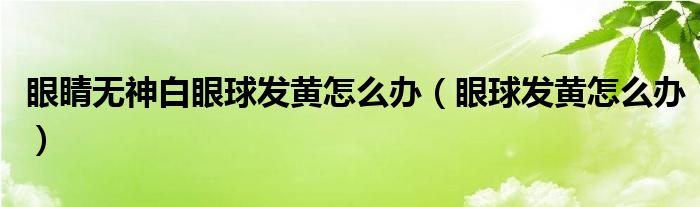 眼睛無神白眼球發(fā)黃怎么辦（眼球發(fā)黃怎么辦）