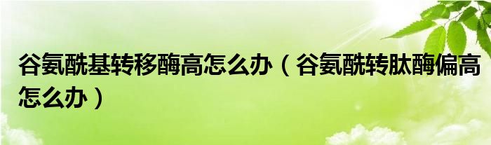 谷氨酰基轉(zhuǎn)移酶高怎么辦（谷氨酰轉(zhuǎn)肽酶偏高怎么辦）