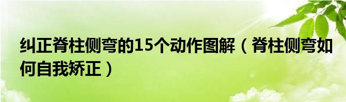 糾正脊柱側(cè)彎的15個(gè)動(dòng)作圖解（脊柱側(cè)彎如何自我矯正）