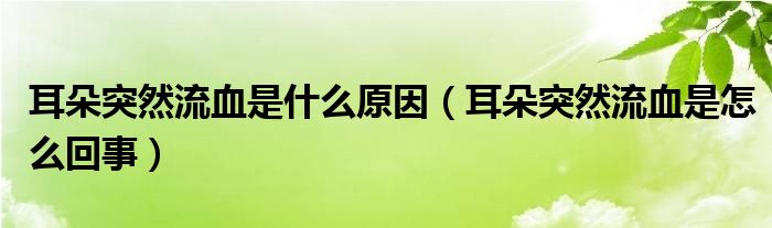 耳朵突然流血是什么原因（耳朵突然流血是怎么回事）