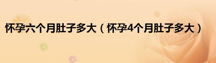 懷孕六個(gè)月肚子多大（懷孕4個(gè)月肚子多大）