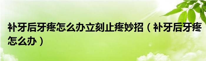 補(bǔ)牙后牙疼怎么辦立刻止疼妙招（補(bǔ)牙后牙疼怎么辦）