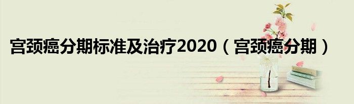 宮頸癌分期標準及治療2020（宮頸癌分期）