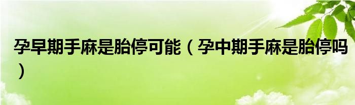 孕早期手麻是胎停可能（孕中期手麻是胎停嗎）