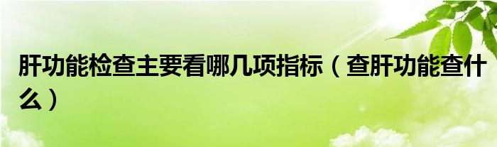 肝功能檢查主要看哪幾項指標(biāo)（查肝功能查什么）