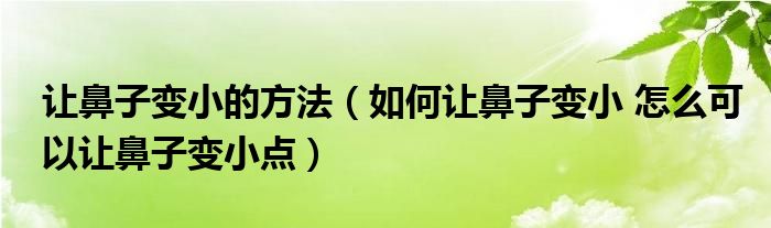 讓鼻子變小的方法（如何讓鼻子變小 怎么可以讓鼻子變小點）