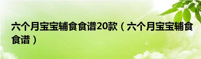 六個月寶寶輔食食譜20款（六個月寶寶輔食食譜）