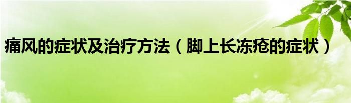 痛風(fēng)的癥狀及治療方法（腳上長凍瘡的癥狀）