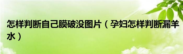 怎樣判斷自己膜破沒(méi)圖片（孕婦怎樣判斷漏羊水）