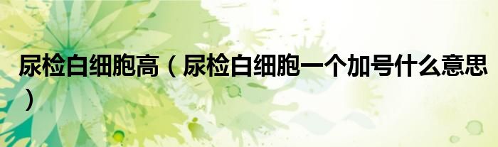 尿檢白細(xì)胞高（尿檢白細(xì)胞一個(gè)加號(hào)什么意思）