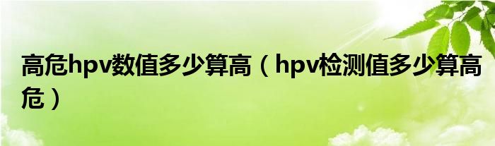 高危hpv數(shù)值多少算高（hpv檢測值多少算高危）