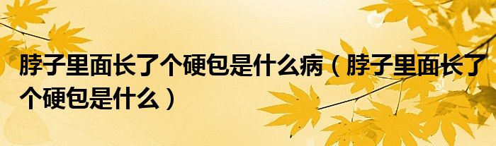 脖子里面長了個硬包是什么病（脖子里面長了個硬包是什么）