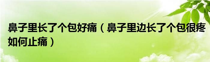 鼻子里長(zhǎng)了個(gè)包好痛（鼻子里邊長(zhǎng)了個(gè)包很疼如何止痛）